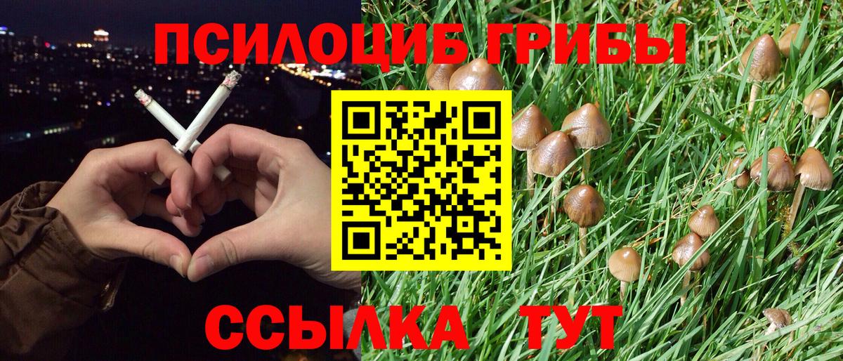 Выкса  Галлюциногенные грибы Psilocybe  Вход с VPN  Галлюциногенные грибы ЛСД 
